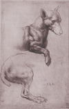 Leonardo Da Vinci - Dog